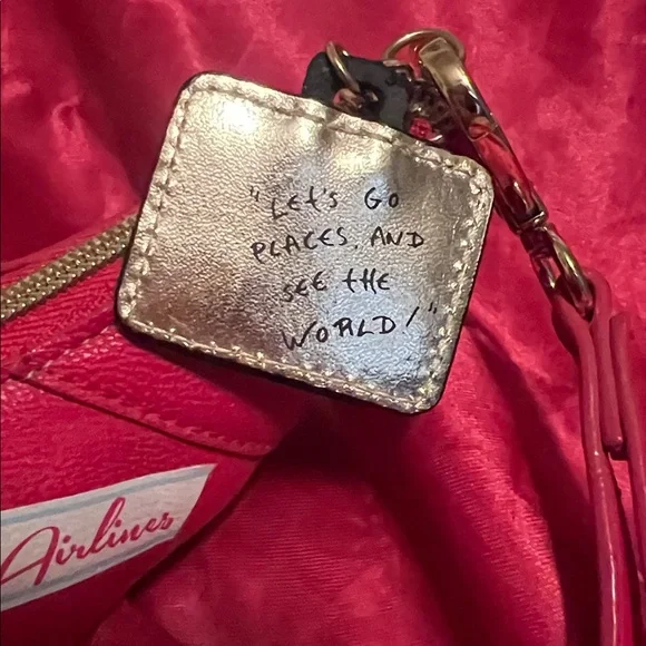 Betsey Johnson Super Rare Runway Airlines Airplane Wristlet - Picture 6 of 10